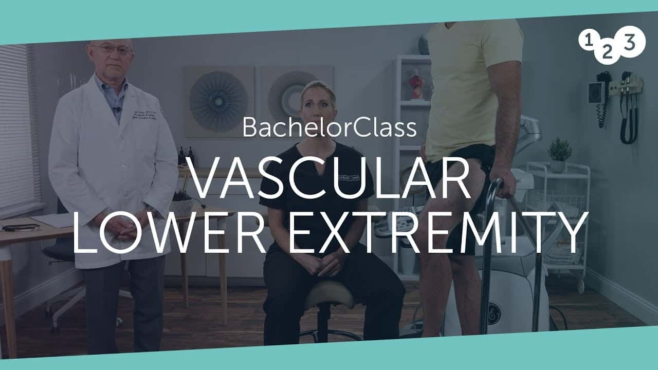 123sonography Vascular Lower Extremity BachelorClass 2019