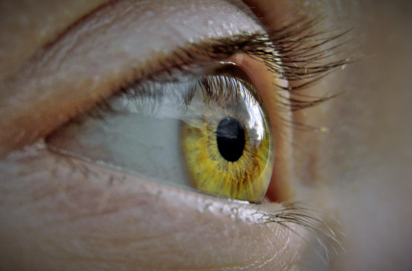 Nahaufnahme linkes Auge mit hellbrauner, fast gelber Iris und helleren Wimpern