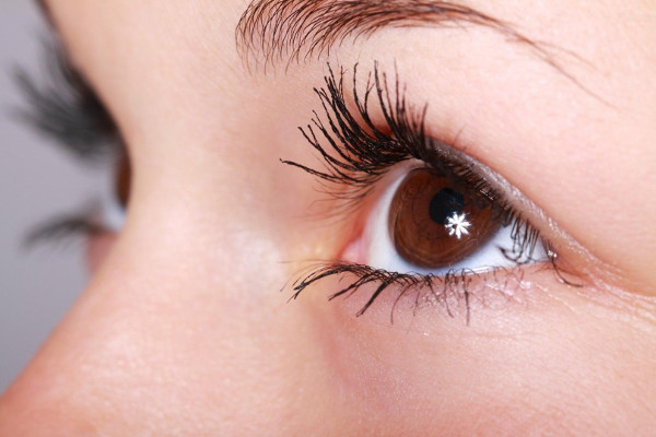 Nahaufnahme der Augen von rechts, mit dunkel brauner Iris und dunkel getuschten Wimpern