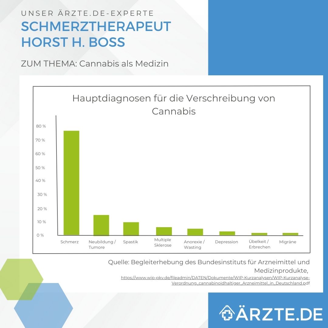 Balkendiagramm: Für welche Krankheiten wird medizinisches Cannabis eingesetzt
