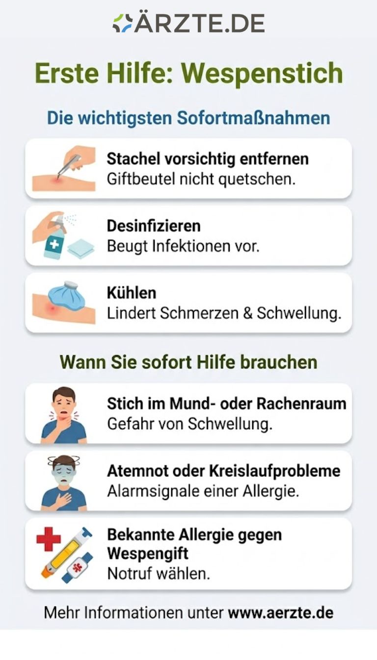 Grafik zeigt wichtige Maßnahmen bei einem Wespenstich
