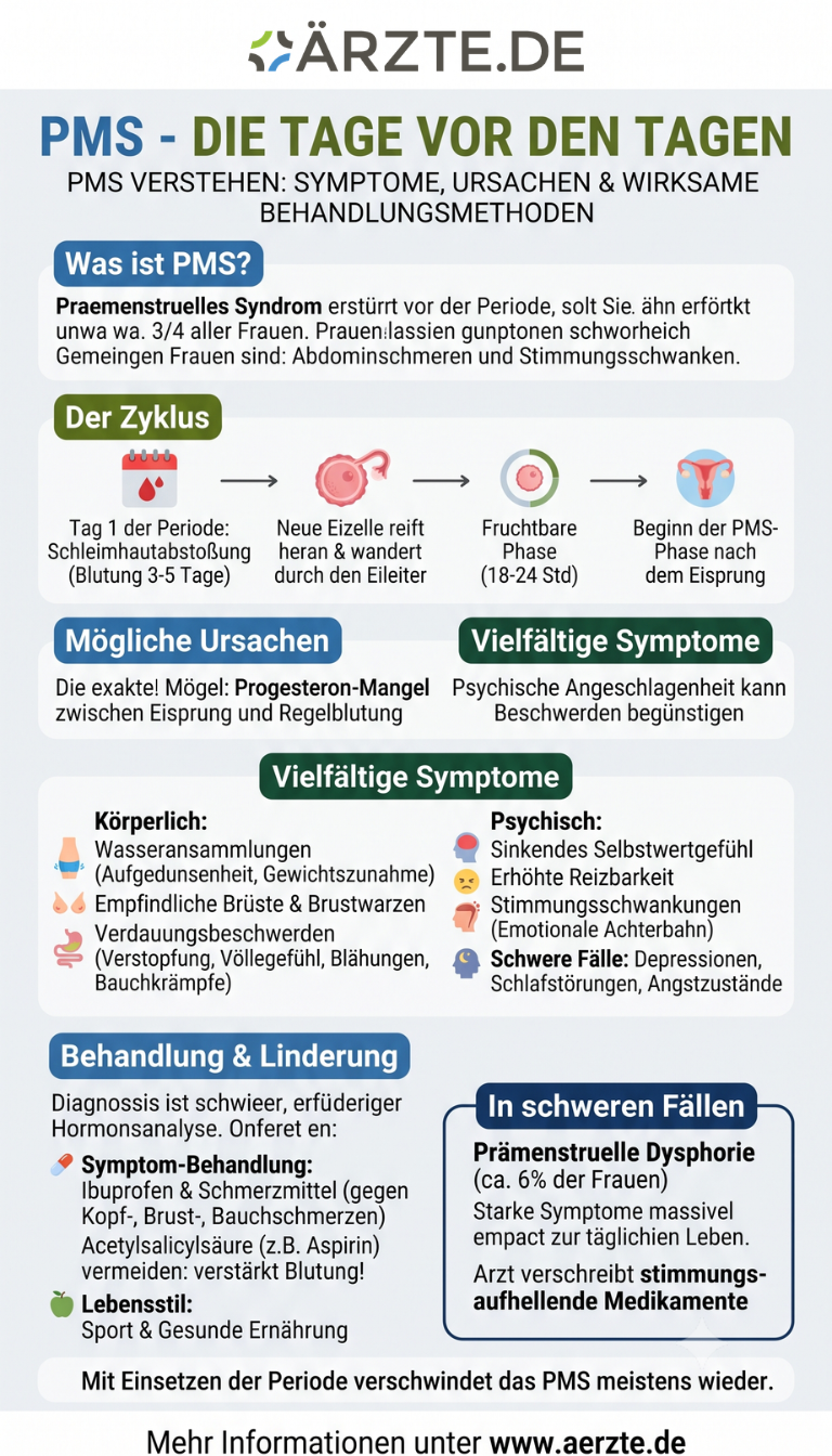 Infografik PMS