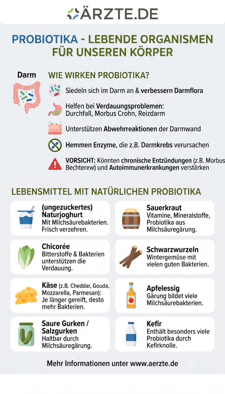 Infografik Probiotika