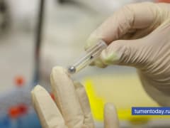 Какие средства защиты эффективнее спасают от клещей