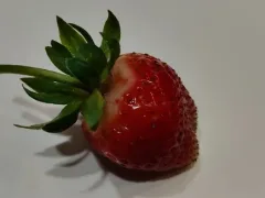 Тюменцам предоставили пошаговую инструкцию по весеннему уходу за клубникой