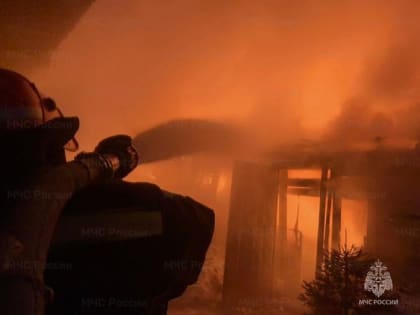 В первый день Нового года в Тюменской области произошло 14 пожаров