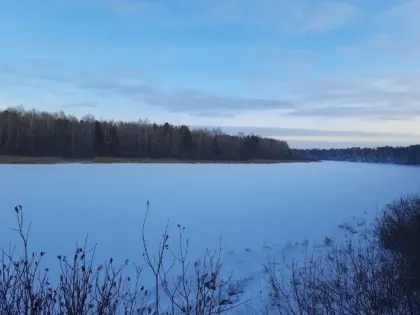 «Второй ноябрь». Декабрь 2024 в Тюмени поставил новый температурный рекорд