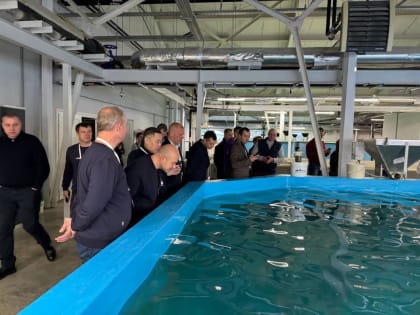 Развитие агропромышленного комплекса Ямала: опыт для Тюменской области