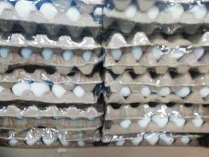 Во второй декаде января в Тюменской области яйца подешевели до 122,82 рублей
