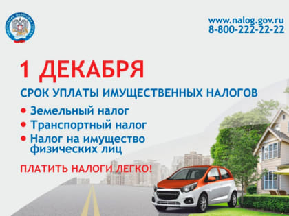 Заплати налоги в срок