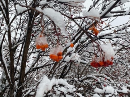 Ночью в Тюмени пойдет снег и потеплеет