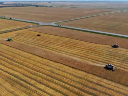 Урожай в Тюменской области: результаты на 9 октября