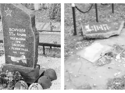 О вандализме в г. Отрадное Ленинградской области