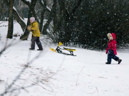 Тюменцев оставили без высоких горок