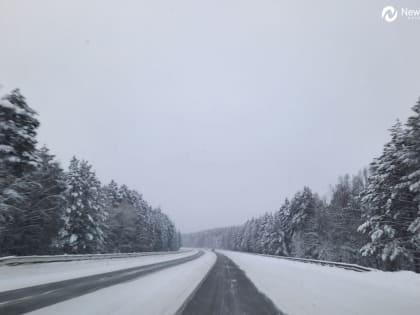 В Тюменской области становится меньше мест концентрации ДТП на автодорогах федерального значения