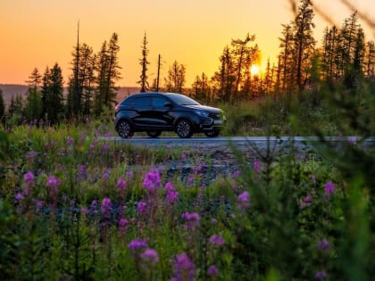 Артюхов перед поездкой по "Честному маршруту" попросил ямальцев подать сигналы