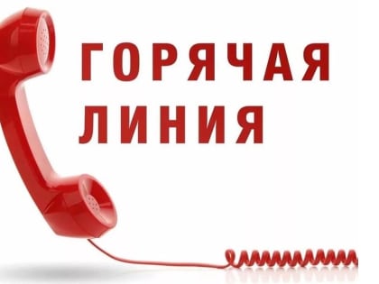О работе горячей линии
