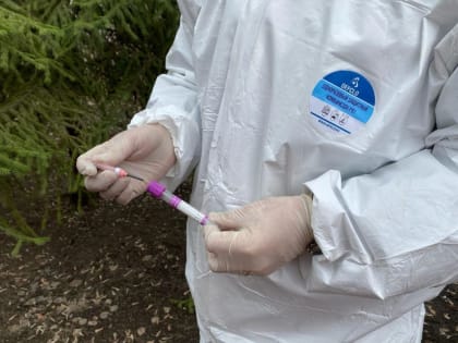 Карантин по бешенству животных ввели в селе Ильинка Казанского района