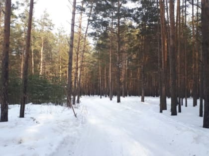 В Тюмени резко потеплеет и пойдет дождь