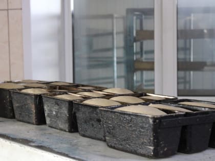 Ишимский район обеспечивает продовольственную безопасность