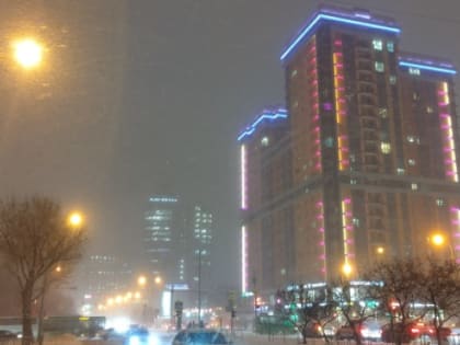 Дефицит рабочих, новые дороги, рекордное количество яиц и самая старая кошка в России