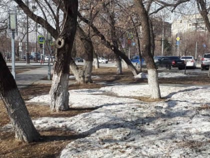 От клещей в Тюменской области обработают 6.5 тыс. га