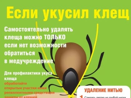Осторожно, КЛЕЩИ!