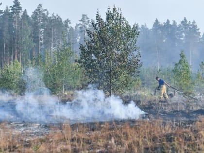 Ландшафтный пожар на Велижанском тракте под Тюменью удалось локализовать к ночи