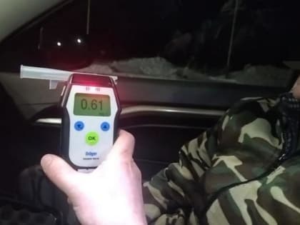 Пьяного водителя без прав задержали автоинспекторы в Голышманово