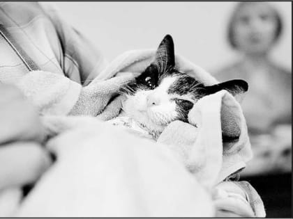 Дружба бесценна, но лучше подстраховаться