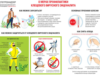 Клещи активизировались