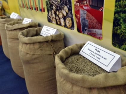 Трехлетний максимум по отгрузке зерна на экспорт зафиксирован в Тюменской области