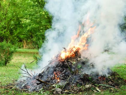 Призвать к порядку