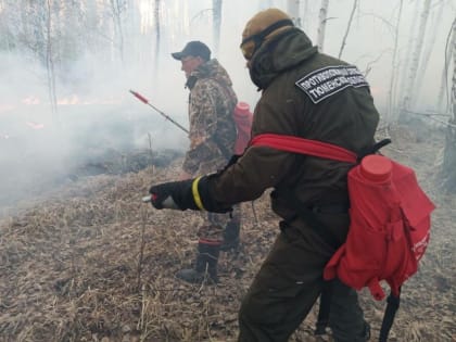 Тюменской области компенсируют затраты на тушение лесных пожаров