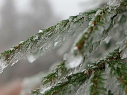 В пятницу на Тюмень обрушится непогода: ожидается метель, гололед и сильный ветер