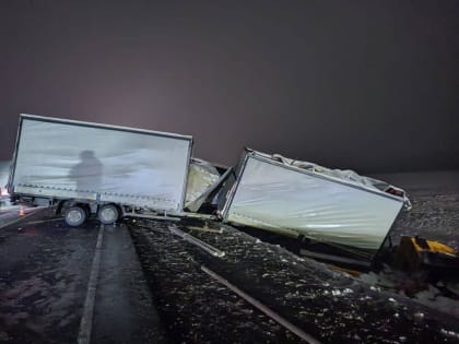 Стали известны подробности смертельного ДТП под Заводоуковском