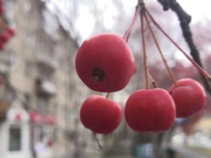 Теплая погода в Тюмени и грядущие изменения