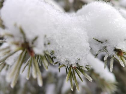 В воскресенье в Тюмени вновь существенно потеплеет
