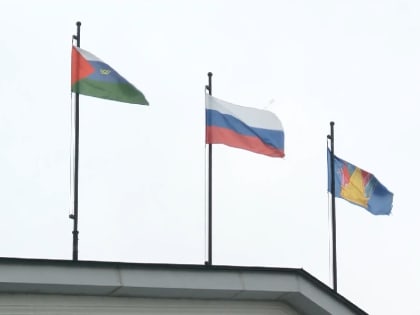 Тюменцам рассказали о работе территориальных избирательных комиссий