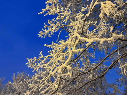 1 января в Тюмени будет облачная погода и мороз до -26 градусов