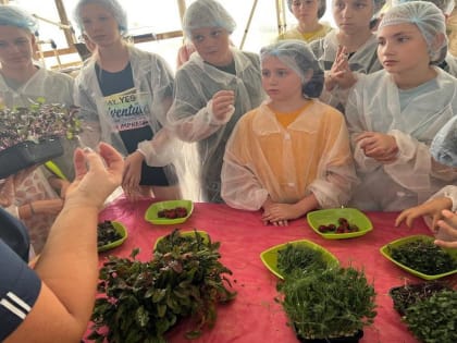 Федеральный проект «Билет в Будущее» продолжает помогать школьникам с выбором будущей профессии