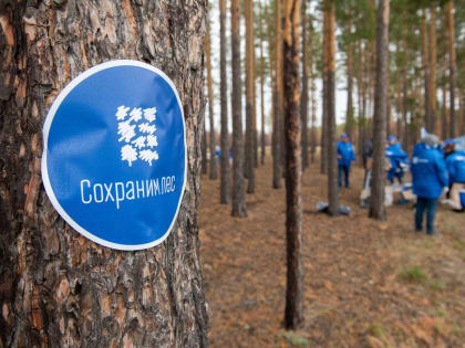 Работники лесной отрасли отмечают профессиональный праздник