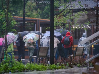 В Тюмени 29 июня ожидается дождь и +10 градусов