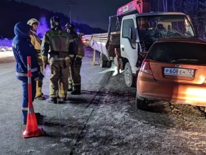 Под Заводоуковском в ДТП погиб водитель иномарки