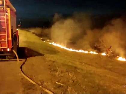В Тюмени горит поле с сухой травой на Велижанском тракте