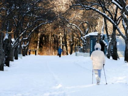 Зимние морозы: прогноз погоды на ближайшие дни