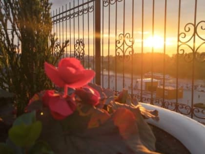 Во вторник в Тюмени солнечно и до +27 градусов