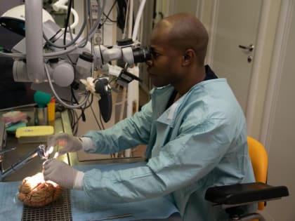 Исследования тюменских специалистов помогут в лечении сложных заболеваний мозга