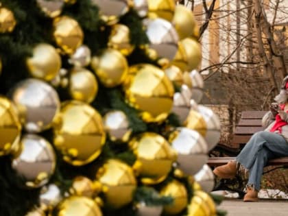 В Тюмени декабрь-2024 побил температурный рекорд