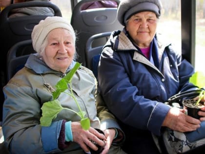 Дачный маршрут